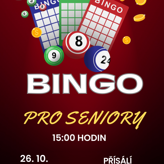 Bingo pro seniory 1